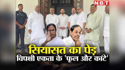 Bihar Politics : सियासत के पेड़ पर फिर निकले विपक्षी एकता के फूल और कांटे, लेकिन राहुल-नीतीश के प्लान में इतने रोड़े क्यों!