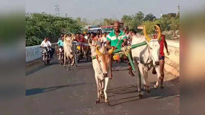 காரைக்குடியை கலக்கிய மாட்டு வண்டி பந்தயம்... உற்சாகமாக கண்டுகளித்த மக்கள்...