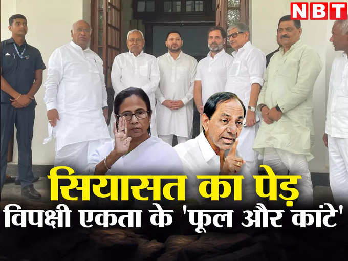 Nitish Kumar Opposition Unity