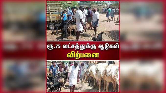 கரூரில் ஆடுகள் விற்பனை படுஜோர்!