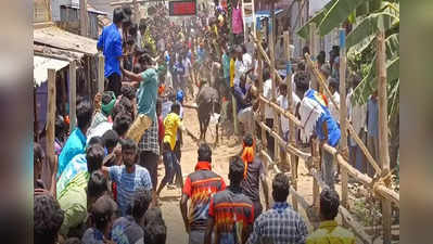 திருப்பத்தூரில் எருது விடும் திருவிழா;  மந்தையில் சீறிய காளைகள்!