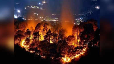 Uttarakhand Fire: जंगल में लगी आग बुझाने गए दो युवकों की जलकर मौत, दोस्त की शादी में दिल्ली से आए थे गांव