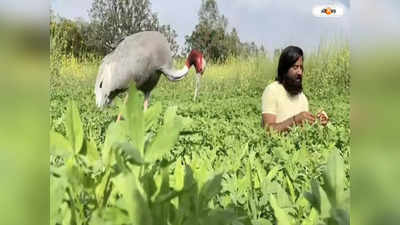 Uttar Pradesh News : বন্ধু বিনে প্রাণ বাঁচে না! আরিফকে দেখেই উদ্বেল সারস