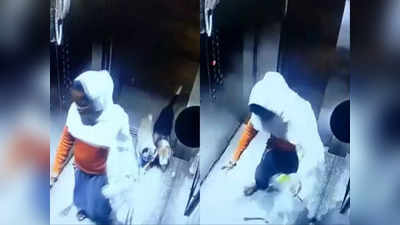 Gurugram News: गुरुग्राम में लिफ्ट के अंदर मेड ने पालतू डॉग को तीन बार पटका, हरकत CCTV में कैद