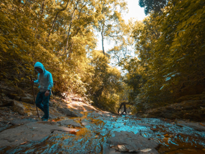 Summer Treks | ഈ വേനല്‍ക്കാലത്ത് നമ്മുടെ കാടും മലയും ഒക്കെ കയറി നടന്നാലോ? ചുമ്മാ കയറന്നേ.. തുടക്കക്കാര്‍ക്ക് പോലും എളുപ്പമാണ്!