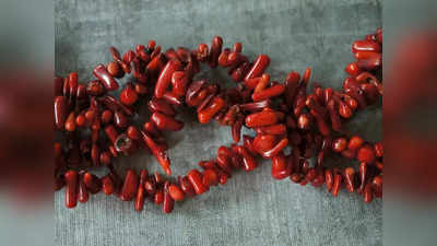 Red Coral: লাল পলা ধারণ করুন এই রাশির জাতকরা, খুলবে ভাগ্যের দরজা