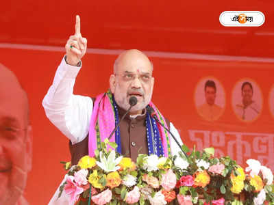 Amit Shah: তা হলেই মমতা টায় টায় ফিসস..., ২৪-এ বাংলা থেকে টার্গেট বাঁধলেন শাহ