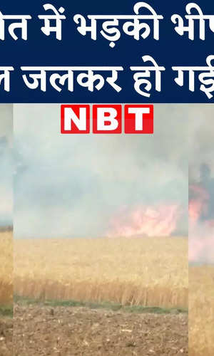 wheat farm caught by fire in bhojpur watch video