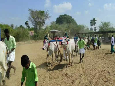 புதுக்கோட்டை விவசாயிகள் விவசாயம் செழிக்க சிறப்பு வழிபாடு; சித்திரை முதல் நாளில் தொடங்கிய பாரம்பரிய உழவு..!