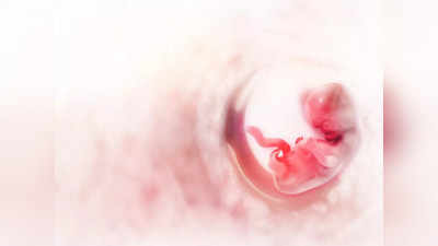 प्रेग्नेन्सीच्या या स्टेजमध्ये फीमेल बेबीचं तयार होतं यूट्रस, या दिवसांपर्यंत होत असते डेव्हलपमेंट