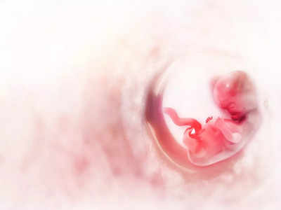 प्रेग्नेन्सीच्या या स्टेजमध्ये फीमेल बेबीचं तयार होतं यूट्रस, या दिवसांपर्यंत होत असते डेव्हलपमेंट