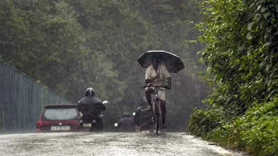 Weather Alert: राज्यात पुढचे ४ दिवस ऑरेंज अलर्ट, या जिल्ह्यांमध्ये गारपीटीसह मुसळधार पावसाची शक्यता