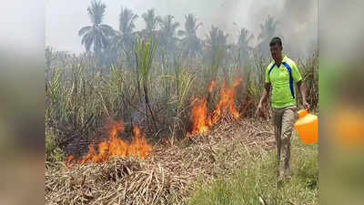 திருப்பத்தூர்: கரும்பு தோட்டத்தில் தீ விபத்து - கண் கலங்கிய விவசாயி...