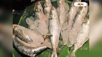 Hilsa Fish : পয়লা বৈশাখের উপহার, সস্তায় ইলিশে মজল ত্রিপুরাবাসী