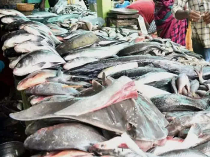 Erode Fish market