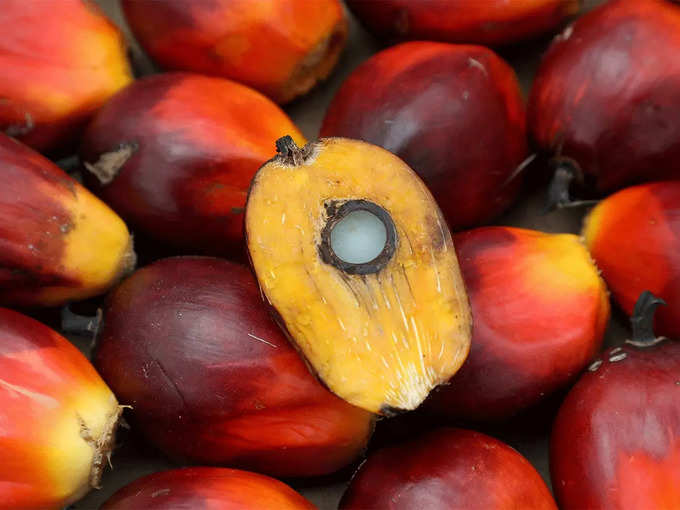 Palm oil