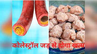 Foods to Increase Good Cholesterol: LDL खत्म कर गुड कोलेस्ट्रॉल बढ़ाती हैं 5 चीजें, Heart Attack से करेंगी बचाव