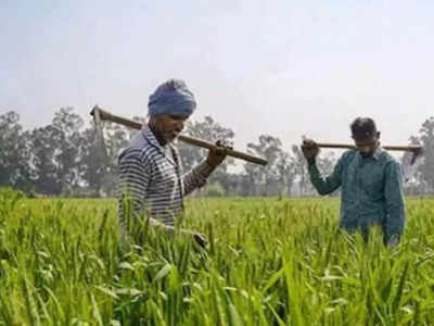 छोटे किसानों पर बड़ी मेहरबानी की तैयारी में शिवराज, फसल बीमा का पूरा प्रीमियम भरेगी सरकार