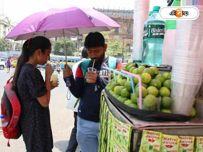 Rainfall Forecast : হাসফাঁস গরমে নাভিশ্বাস, চলতি সপ্তাহেই বৃষ্টির পূর্বাভাস