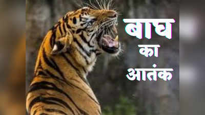 Tigers Terror : पौड़ी में बाघों का आतंक, हर माह एक आदमी जान गंवा रहा, 24 गांवों में क्या हालात