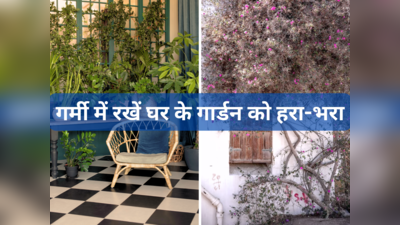तपती गर्मी में भी हरा-भरा दिखेगा घर का गार्डन, इन 5 तरीकों से रखें पौधों का ध्यान