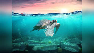 Ocean Plastic: समुद्र में 10 लाख वर्ग किमी में फैला कचरे का तैरता साम्राज्य, टेंशन में सुपरपॉवर अमेरिका