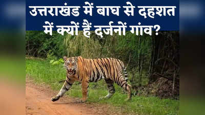 Uttarakhand Tiger Terror: वन विभाग की ट्रैंकुलाइज टीम को छका रहा टाइगर, ग्रामीण कर रहे नरभक्षी घोषित करने की मांग