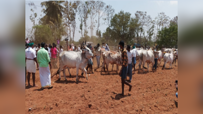 தஞ்சாவூர் மாவட்டத்தில் நல்லேறு பூட்டி பணிகளை தொடங்கிய விவசாயிகள்; கிராம மக்கள் ஒன்றிணைந்து வழிபாடு!