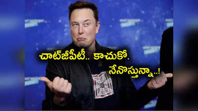 Elon Musk: మైక్రోసాఫ్ట్‌, గూగుల్‌కు మస్క్ సవాల్.. సరికొత్తగా ట్రూత్‌జీపీటీతో ChatGPTకి చెక్..