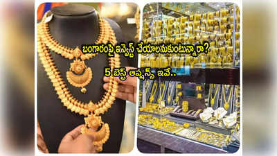 Gold: బంగారం ఇన్ని రకాలుగా ఉంటుందా? పెట్టుబడికి బెస్ట్ ఆప్షన్స్ ఇవే.. వీటితో అధిక రాబడి!