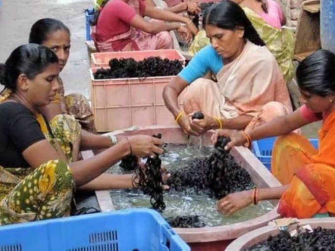 ಮಯನ್ಮಾರ್‌ಗೆ ಸಾಗಣೆ