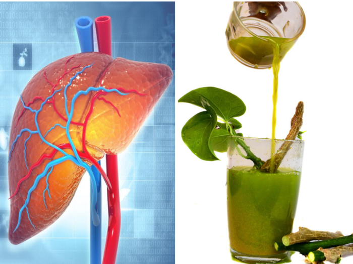 world liver day ayurveda dr told about 5 ayurvedic herbs that can clean your liver naturally