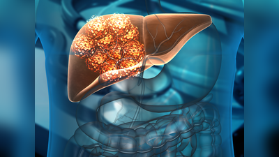 World Liver Day 2023 : உங்க கல்லீரலையும் இப்படி தங்கம் மாதிரி பாதுகாக்கணுமா? அப்போ இந்த 5 ஆசனங்களை செய்ங்க...