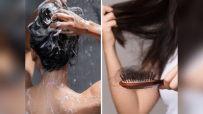 Hair Loss Fact Check: केस रोज धुतल्याने केसगळतीचे प्रमाण वाढतं, काय आहे तथ्य