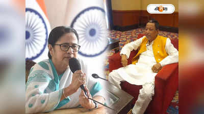 Mamata Banerjee Mukul Roy : BJP-রই বিধায়ক, ছোট ঘটনা, মুকুলকে নিয়ে মন্তব্য মমতার