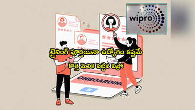 IT Job: ఐటీ ఫ్రెషర్స్‌కు బ్యాడ్‌న్యూస్.. విప్రో అంత పని చేస్తోందా? ట్రైనింగ్‌ పూర్తైనా ఉద్యోగం కష్టమే!