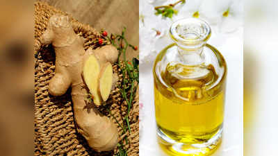 Ginger Oil Benefits: जोड़ों का दर्द और वजन ​घटाने में भी फायदेमंद है अदरक का तेल, बालों के साथ स्किन को भी रखते हैं हेल्दी