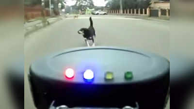 VIDEO: आता कुत्रे सायकल, बाईकपासून दूर पळणार; छोटंसं यंत्र दुचाकीस्वारांसाठी वरदान ठरणार