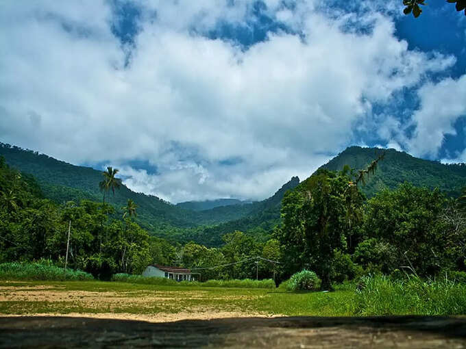 স্নেক আইল্যান্ড, সাও পাওলো