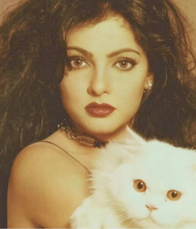 mamta kulkarni pic