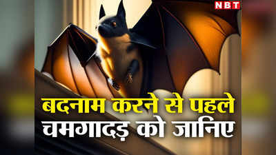 Bat Animal: उंगली के बराबर का चमगादड़ 1 घंटे में खा जाता है 1400 कीड़े, लेकिन यह राक्षस नहीं है