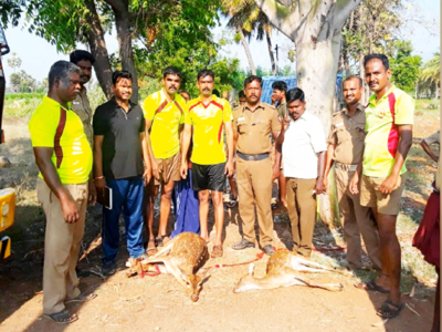 விருதுநகர்; ஸ்ரீவில்லிபுத்தூர் மேற்கு தொடர்ச்சி மலை அடிவாரத்திற்கு வந்த மான்கள் கிணற்றில் தவறி விழுந்த சம்பவம்!