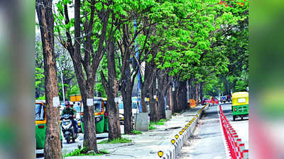 Green Cover Of Bengaluru: 18 ವರ್ಷದಲ್ಲಿ ಬೆಂಗಳೂರಿನ ಅರ್ಧಕ್ಕರ್ಧ ಹಸಿರು ಮಾಯ! ಶೇ.98ರಷ್ಟು ಹೆಚ್ಚಿದ ಕಾಂಕ್ರೀಟ್‌ ಪ್ರದೇಶ