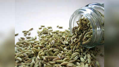 Fennel Seeds Benefits: લોહીમાં ભળતા જ ફાયદો કરશે વરિયાળી, હૃદયરોગ અને કેન્સર સામે આપશે રક્ષણ; જાણો રિસર્ચ