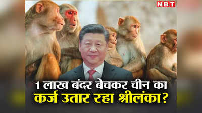 हंबनटोटा, अब 1 लाख बंदर... चीन का कर्ज लौटाने को कितना गिरेगा गुलाम श्रीलंका, ड्रैगन का क्रूर प्‍लान