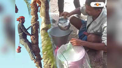 Heatwave in West Bengal : তীব্র গরমে তালের রস খেতে উপচে পড়া ভিড়, বেজায় খুশি ব্যবসায়ীরা