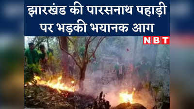 Ranchi News : झारखंड की प्रसिद्ध पारसनाथ पहाड़ी में दो हजार एकड़ में फैली आग, बुझाने में जुटे 300 स्थानीय युवा