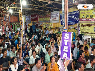 DA Protest : DA নিয়ে সরকারের সঙ্গে আলোচনা ব্যর্থ, আরও জোরালো আন্দোলনের হুঁশিয়ারি সরকারি কর্মীদের