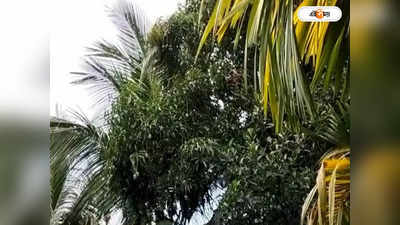 Purba Medinipur Rainfall : অবশেষে মিলল স্বস্তি! দিঘা সহ পূর্ব মেদিনীপুরের একাধিক জায়গায় ঝমঝমিয়ে বৃষ্টি