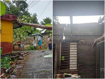 പത്തനംതിട്ടയിൽ കനത്ത കാറ്റ്; വീടുകൾ തകർന്നു, മരങ്ങൾ കടപുഴകി വീണു